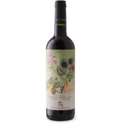 Ronchi Di Castelluccio 2023 Ml. 750 Divine Golosità Toscane