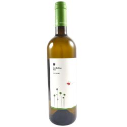 Roccafiore Grechetto Fiordaliso 2025 Ml. 750 Divine Golosità Toscane