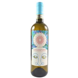 Coroncino Verdicchio Dei Castelli Di Jesi Classico Superiore Gaiospino 2022 Ml. 750 Divine Golosità Toscane