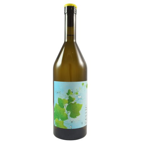 Martimissima Collio Bianco 2024 Ml. 750 Divine Golosità Toscane
