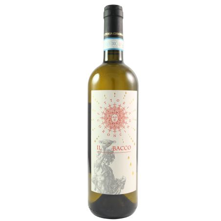 Coroncino Verdicchio Dei Castelli di Jesi Classico Superiore Il Bacco 2024 Ml. 750 Divine Golosità Toscane