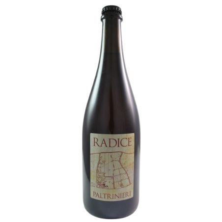 Paltrinieri Lambrusco Di Sorbara Radice 2025 Ml. 750 Divine Golosità Toscane