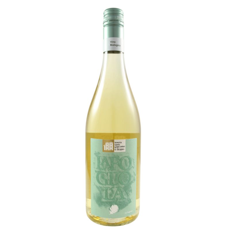 Tenuta Santi Giacomo E Filippo Fogliola Bianco 2025 Ml. 750 Divine Golosità Toscane