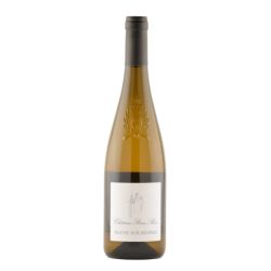 Chateau Pierre Bise Savennières Roche Aux Moines 2022 Ml. 750  Divine Golosità Toscane