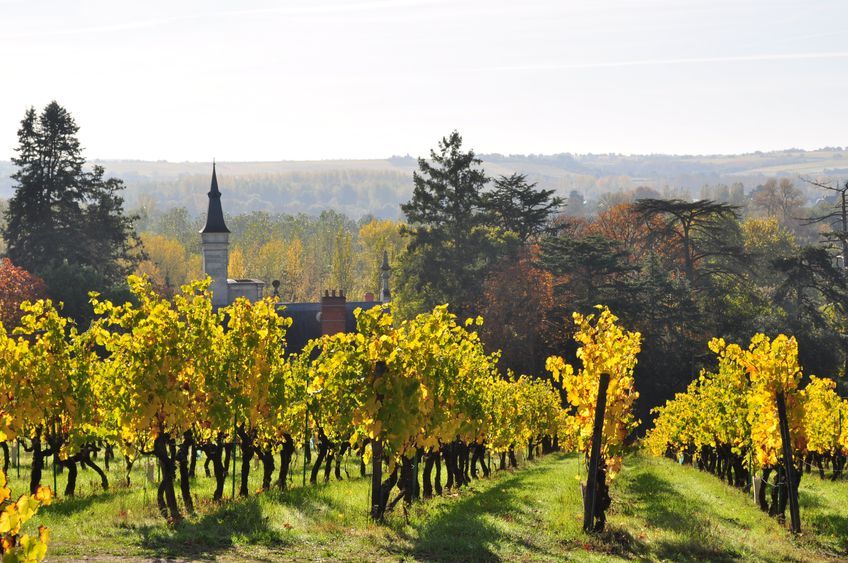 Chateau Pierre Bise