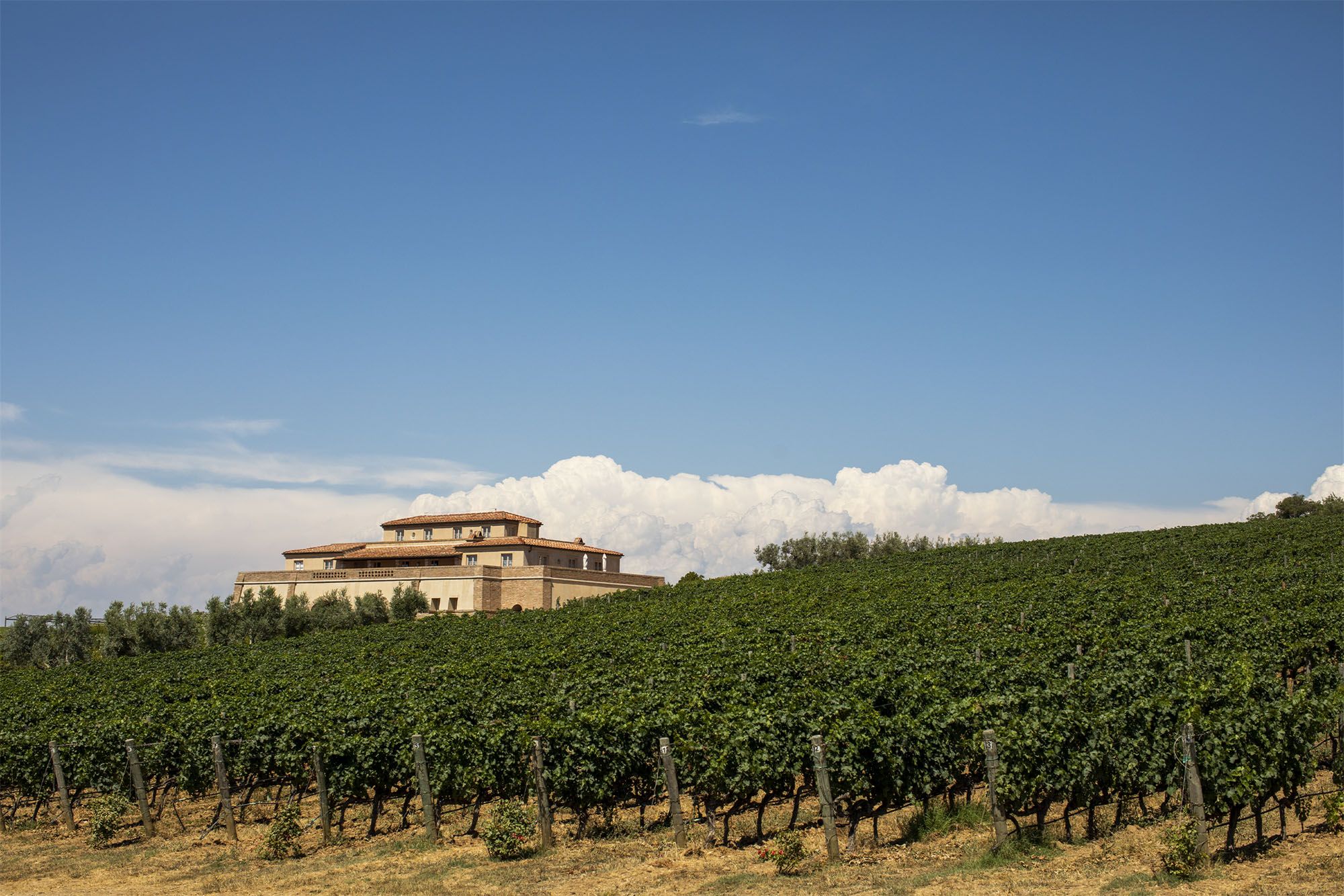 Tenuta Argentiera