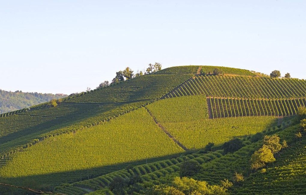 Produttori Del Barbaresco