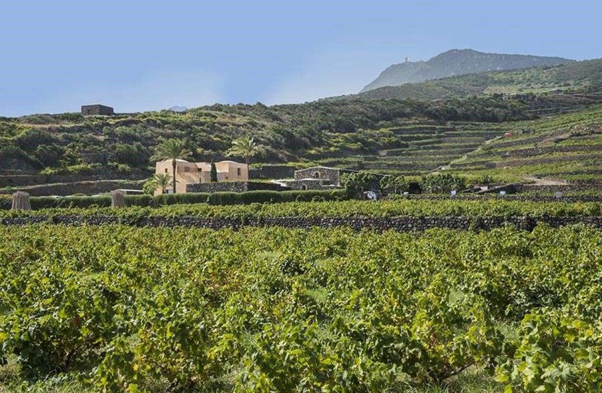 Donnafugata