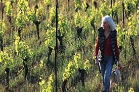Domaine Peyre Rose