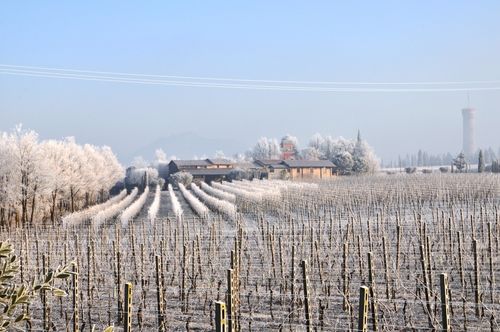 Podere Selva Capuzza