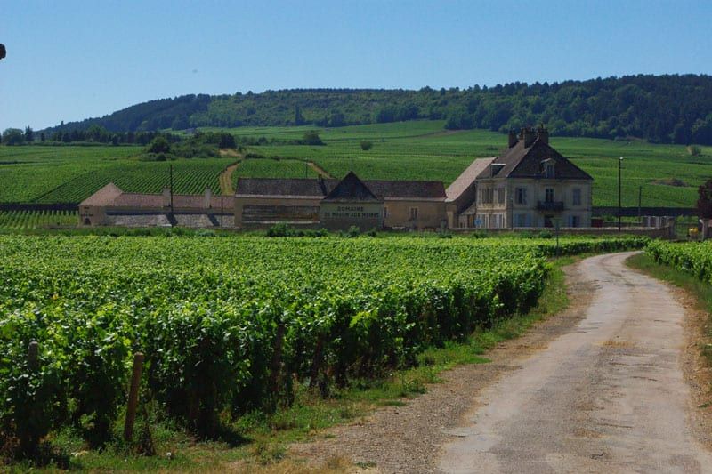 Clos Du Moulin Aux Moines