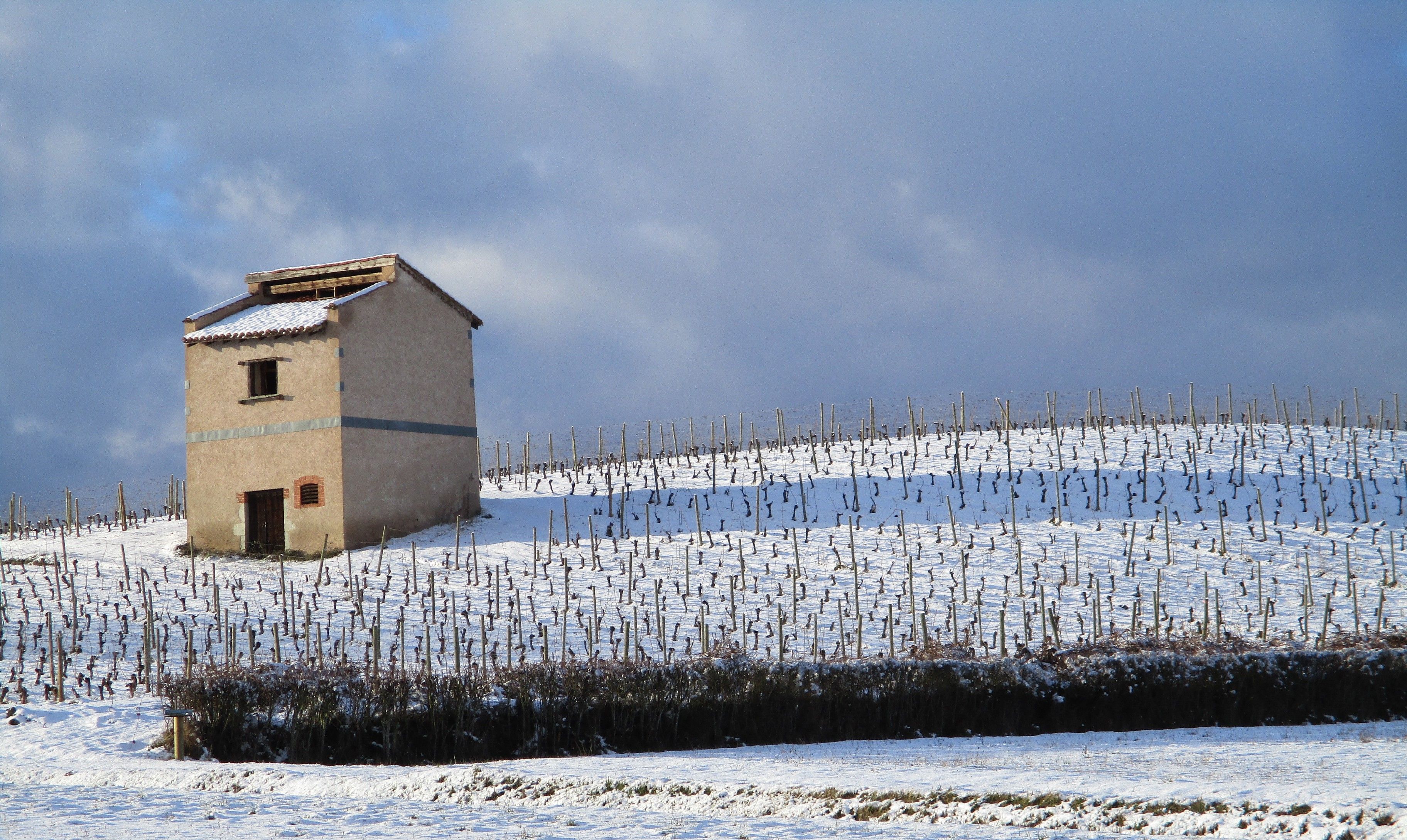 Les Vins de la Madone