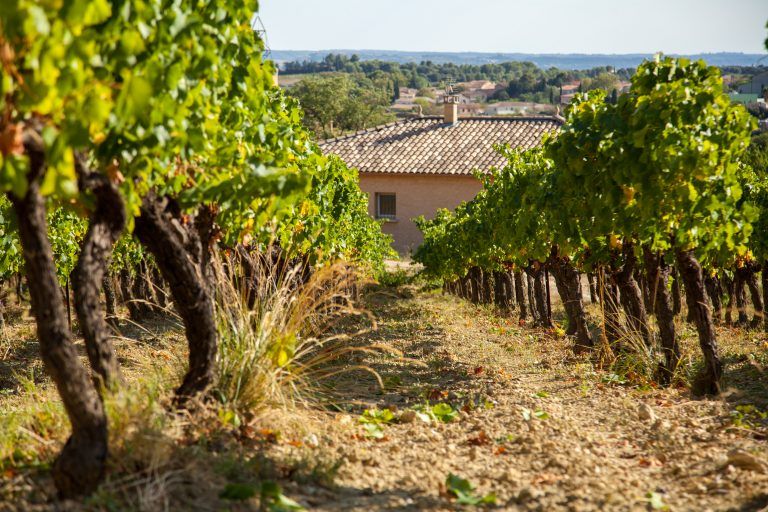 Domaine Alain Chabanon