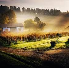 Tenuta Lenzini