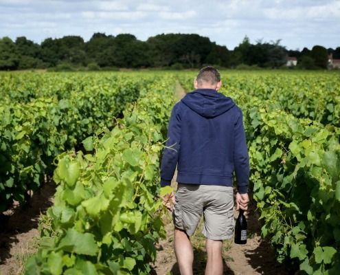 Domaine Bruno Cormerais