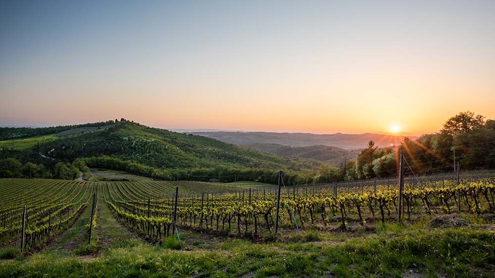 Poggio Al Sole