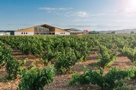 Bodegas Barahonda