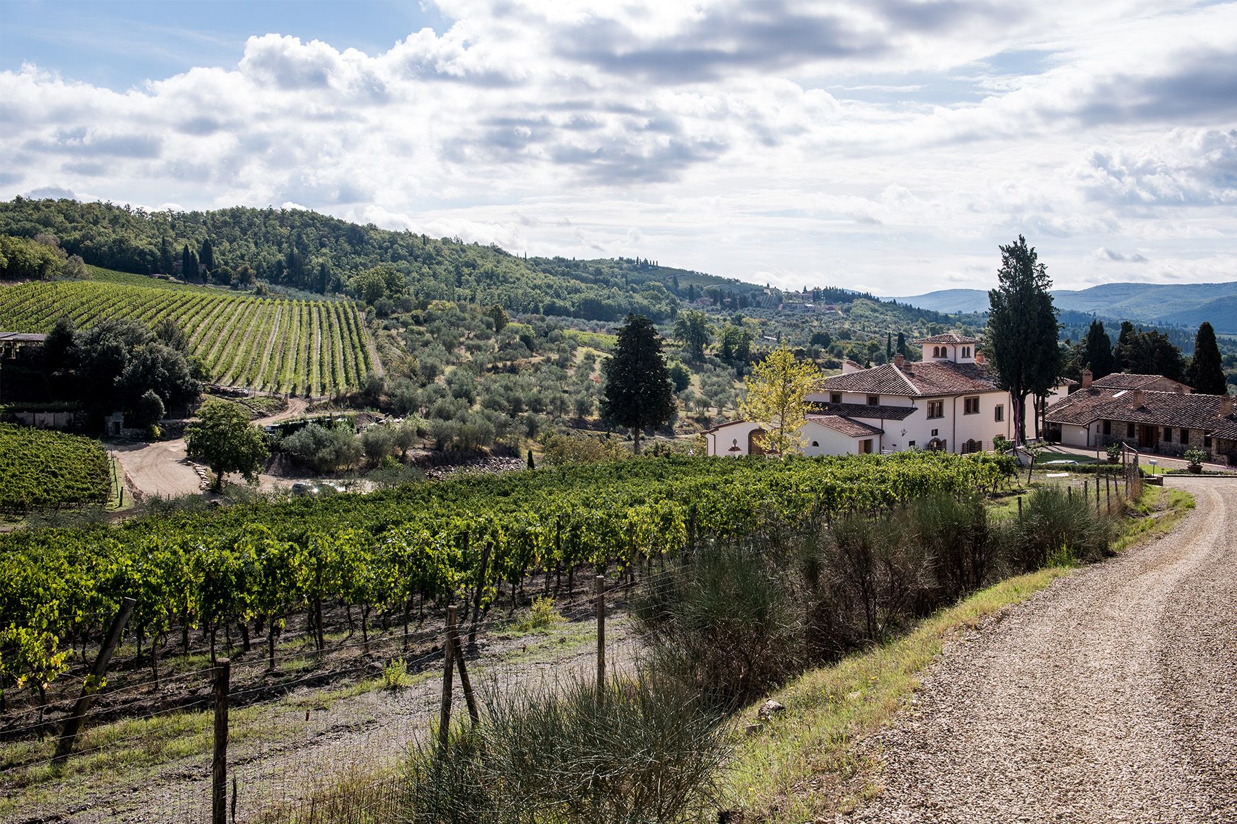 Tenuta Casenuove