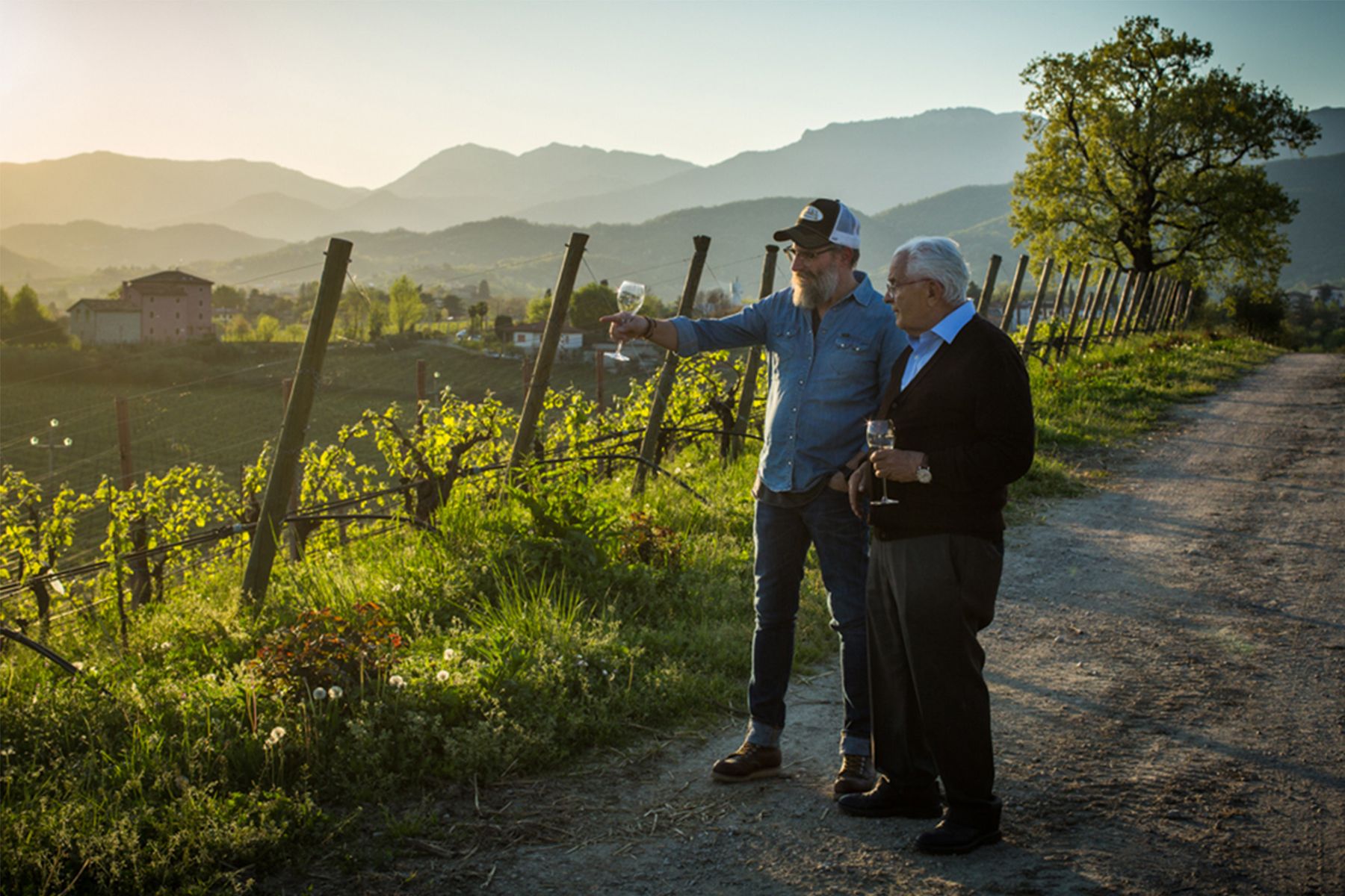 L'Antica Quercia