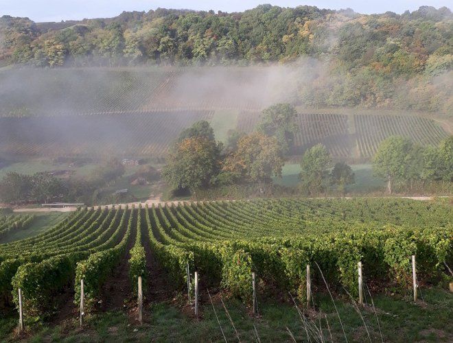 Domaine Du Carrou