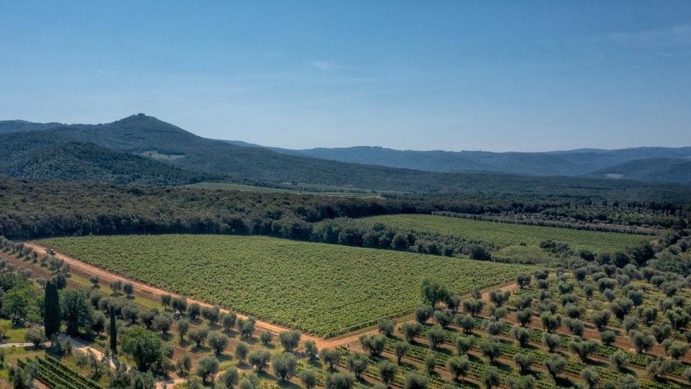 Tenuta San Guido