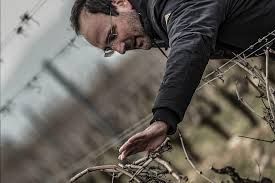 Yann Chave