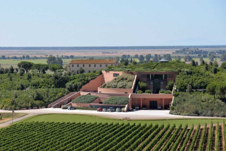 Antinori Le Mortelle