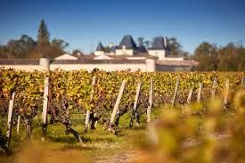 Chateau Suduiraut
