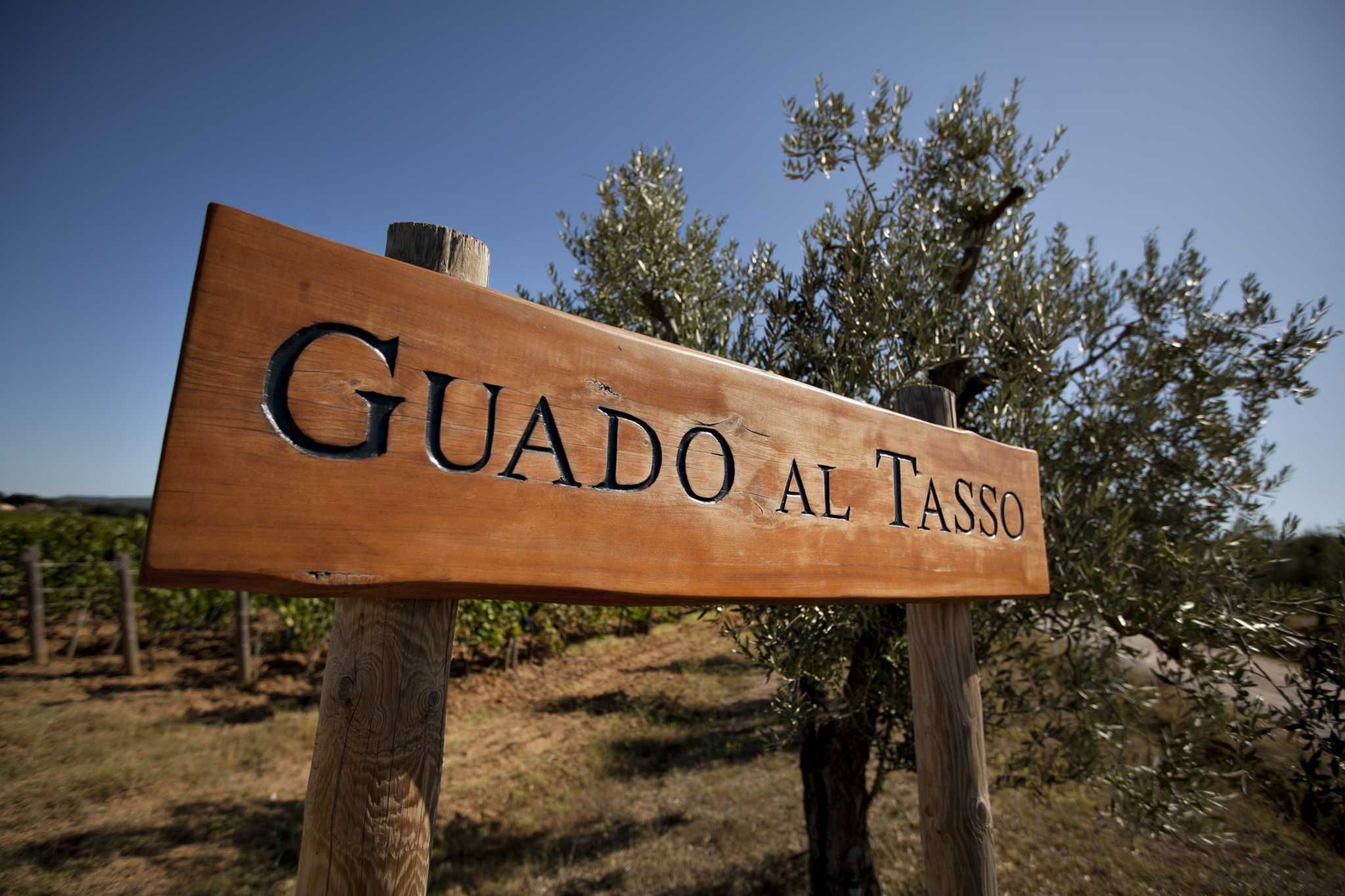 Antinori Tenuta Guado Al Tasso